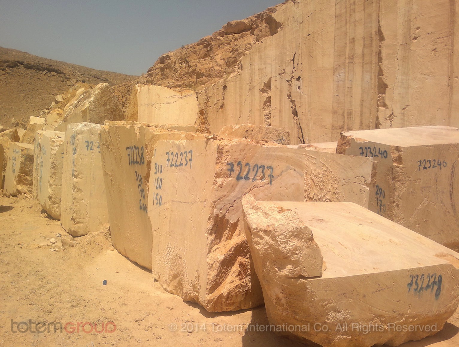 TGTR 325 - Golden Travertine